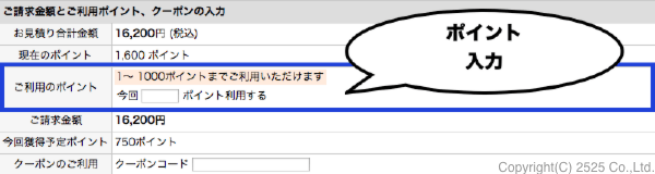 ポイント利用入力画面