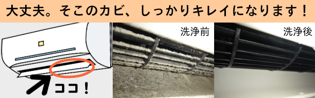 富士通ノクリアXの完全分解クリーニングによる内部の黒カビ洗浄ビフォーアフター