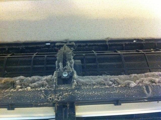 お掃除ユニットの上に溜まったホコリ