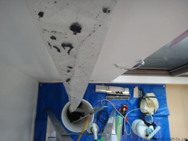 エアコンから流れ落ちるカビ