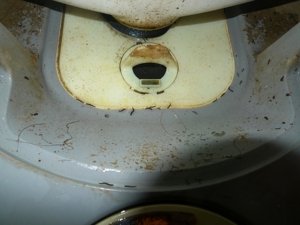 お風呂,コバエ,チョウバエ