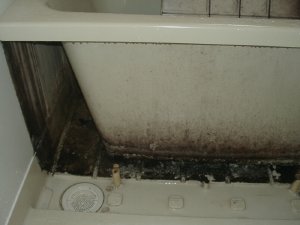 風呂場エプロン内高圧洗浄前