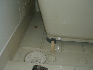 風呂場エプロン内高圧洗浄後