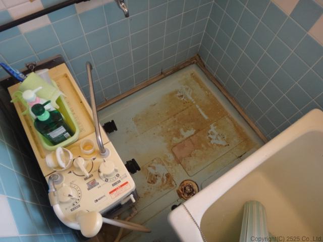 お風呂バスタブ下部エプロン内高圧洗浄コバエ,チョウバエ駆除方法,バランス釜タイプ2