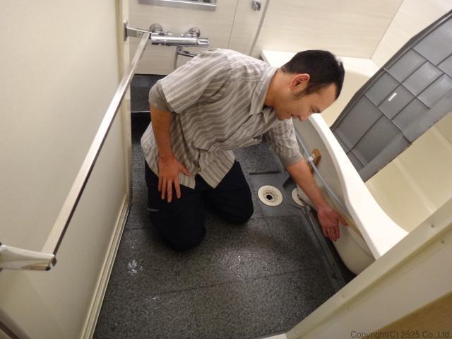 お風呂バスタブ下部エプロン内高圧洗浄コバエ,チョウバエ駆除方法手順,確認