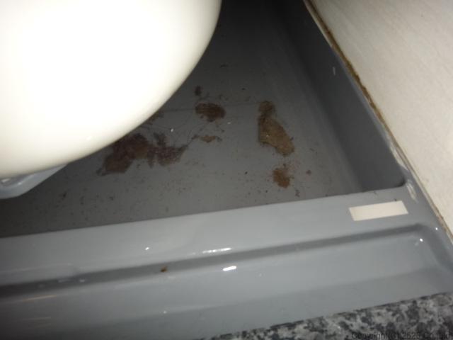 お風呂バスタブ下部エプロン内高圧洗浄コバエ,チョウバエ駆除方法手順,出てきた汚れ