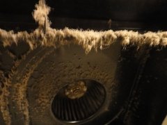 浴室乾燥機能付き換気扇洗浄の手順,内部の汚れ