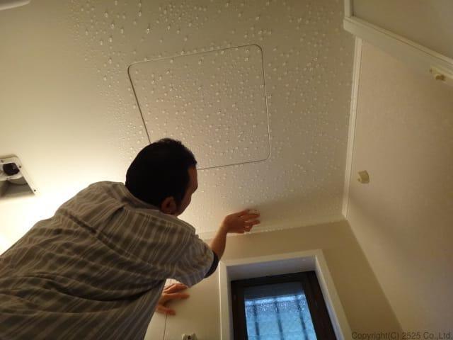 お風呂クリーニング、天井