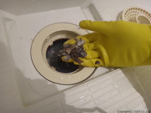 お風呂クリーニング,排水口の中奥