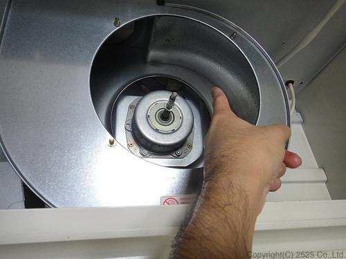 キレイな洗浄後のフード内