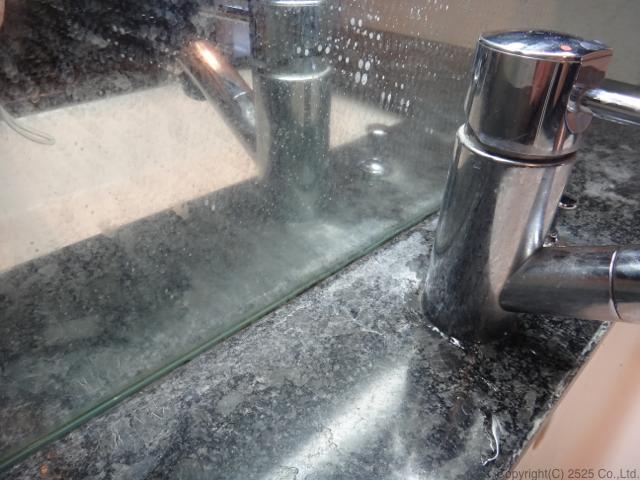 蛇口の周りのガビガビ